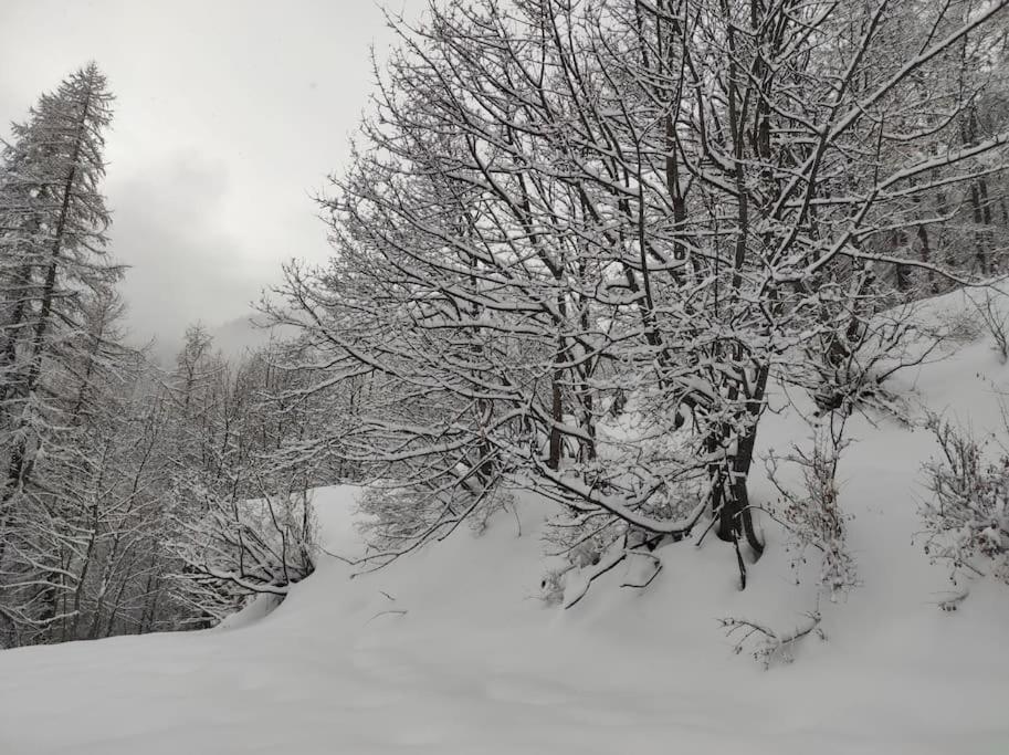 Appartement Vue Montagne, Cosy Et Chaleureux Briançon Dış mekan fotoğraf